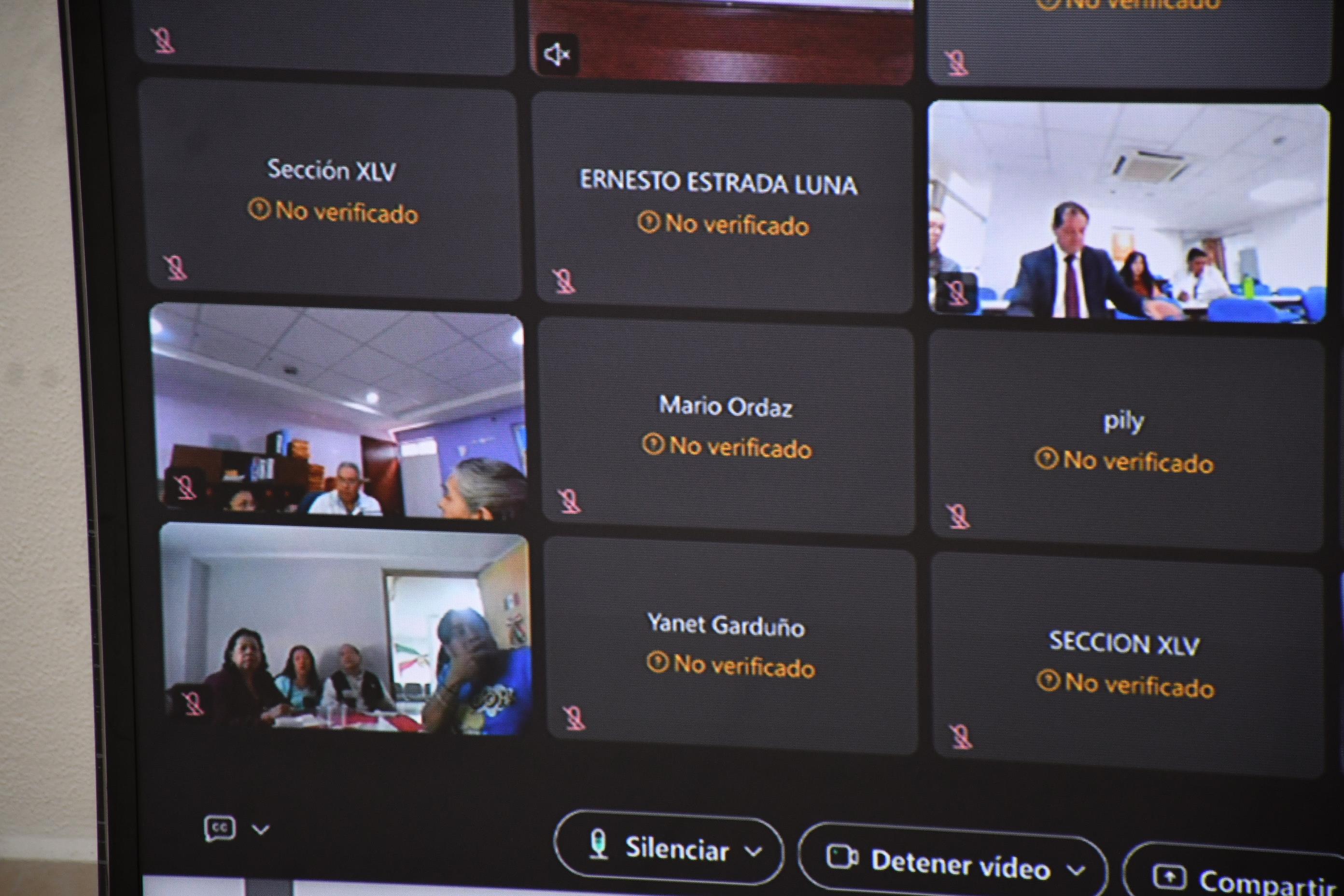 Capacitación a Secciones Sindicales y a Comités Seccionales Electorales, Vía Zoom